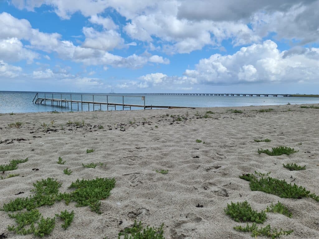 Stranden mellem Nyborg og Knudshoved